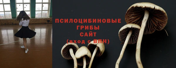 хмурый Заводоуковск