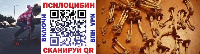 Купить закладки  Петропавловск-Камчатский  Галлюциногенные грибы Magic Shrooms 